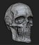 Articulated Human Skull for 3D printing