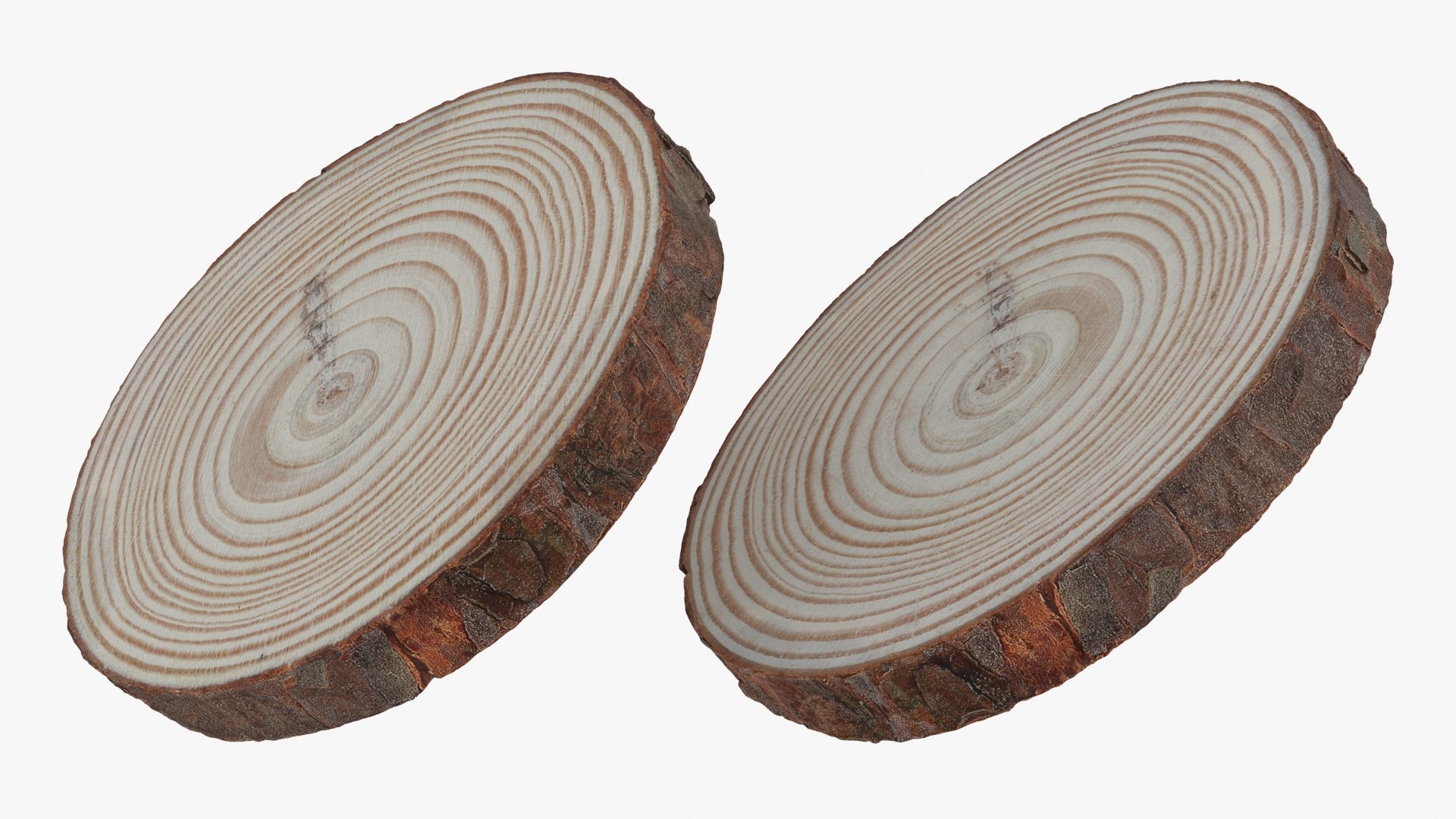 3D Wood Log Slice Collection - TurboSquid 2149410
