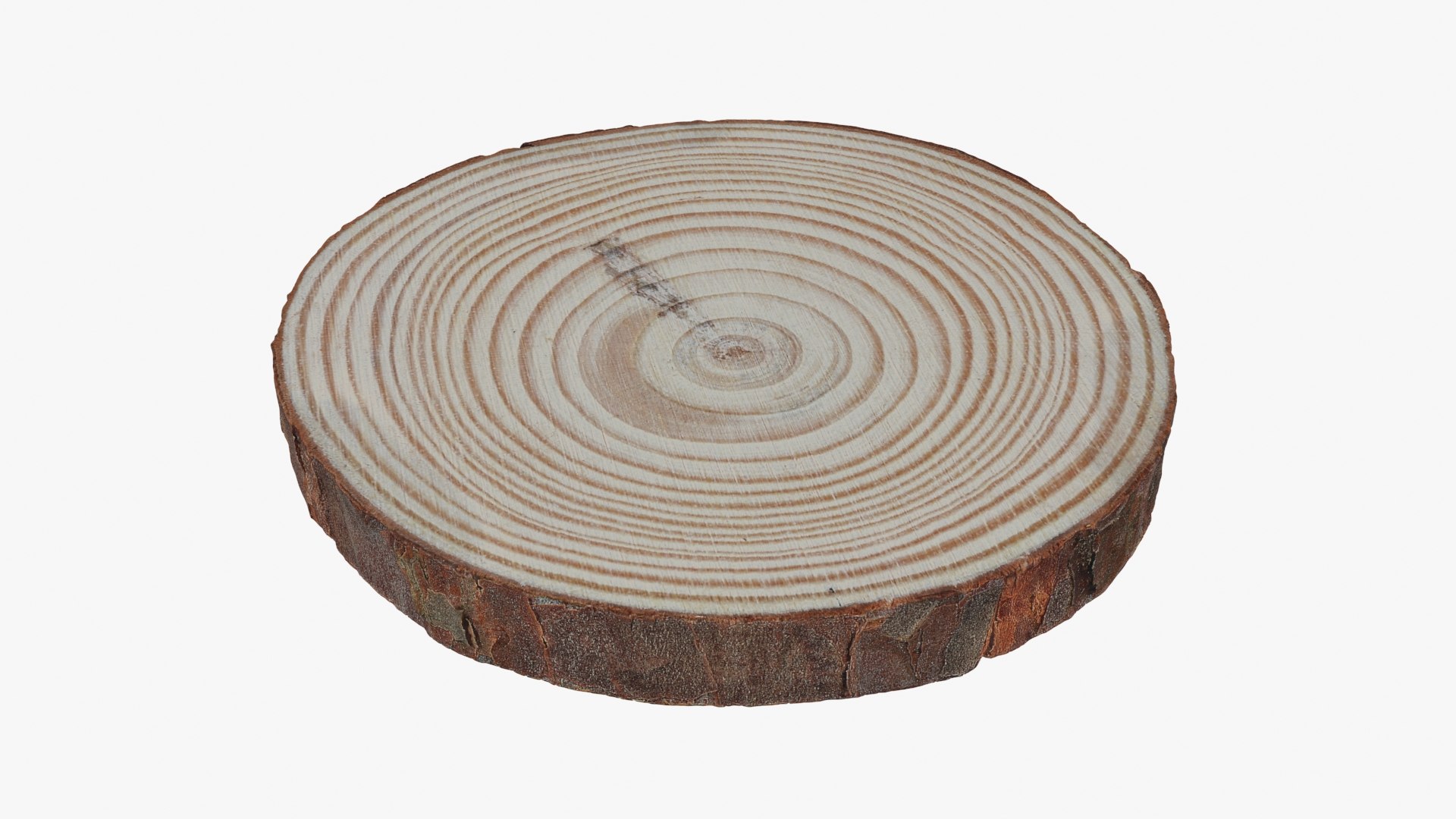 3D Wood Log Slice Collection - TurboSquid 2149410