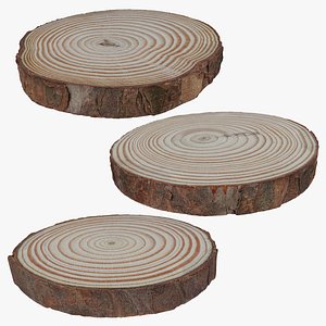 3D Wood Log Slice Collection