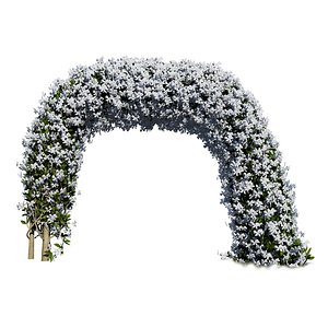 Elegant Arc Crepe Jasmine Arch