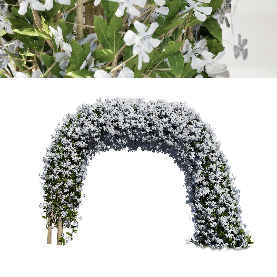 Elegant Arc Crepe Jasmine Arch 3D Model 3D https://p.turbosquid.com/ts-thumb/En/d3O4Zj/Rv/z00cover01/jpg/1717881059/1920x1080/fit_q87/e3d2acd378d75adb52615bbe8262d75abf34b6d8/z00cover01.jpg
