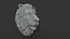 Medieval Lion Head Sculpture