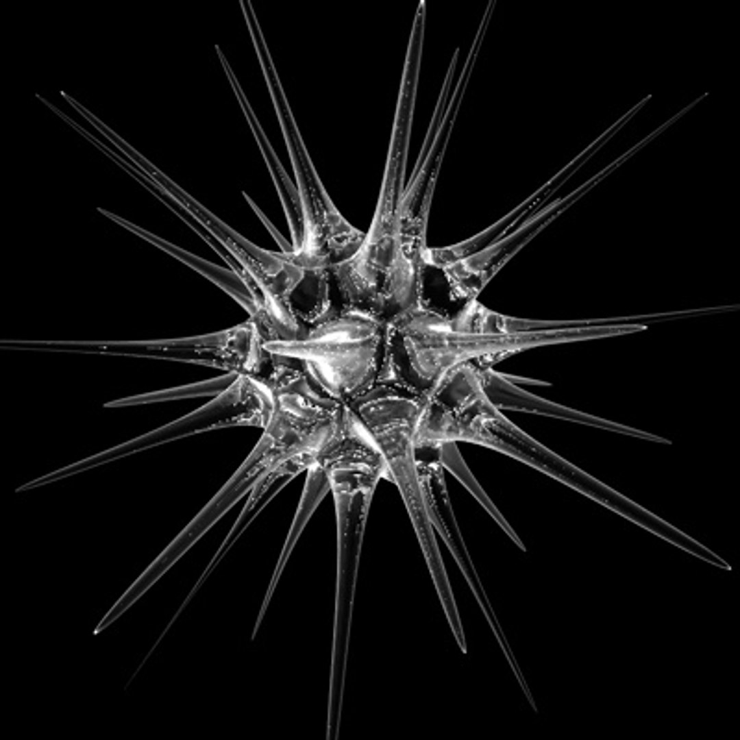 pollen spore 3d model https://p.turbosquid.com/ts-thumb/Eo/Tkb0XV/dElCpf82/1/jpg/1255635258/1920x1080/fit_q87/b1d2416361e0cf197d9d9cc15c797be9d4784ec7/1.jpg