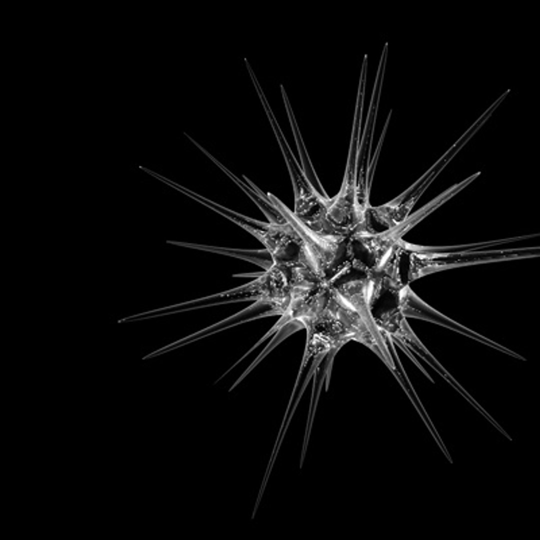 pollen spore 3d model https://p.turbosquid.com/ts-thumb/Eo/Tkb0XV/nPZWVe1C/3/jpg/1255635266/1920x1080/fit_q87/bf83501fd43230d402524e3d6f3a28535a41b9f9/3.jpg