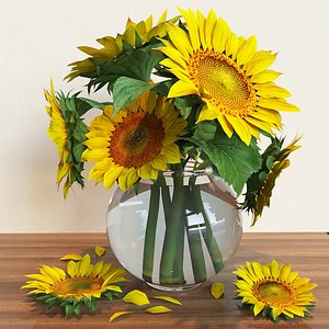 sunflower model