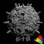 virus 15