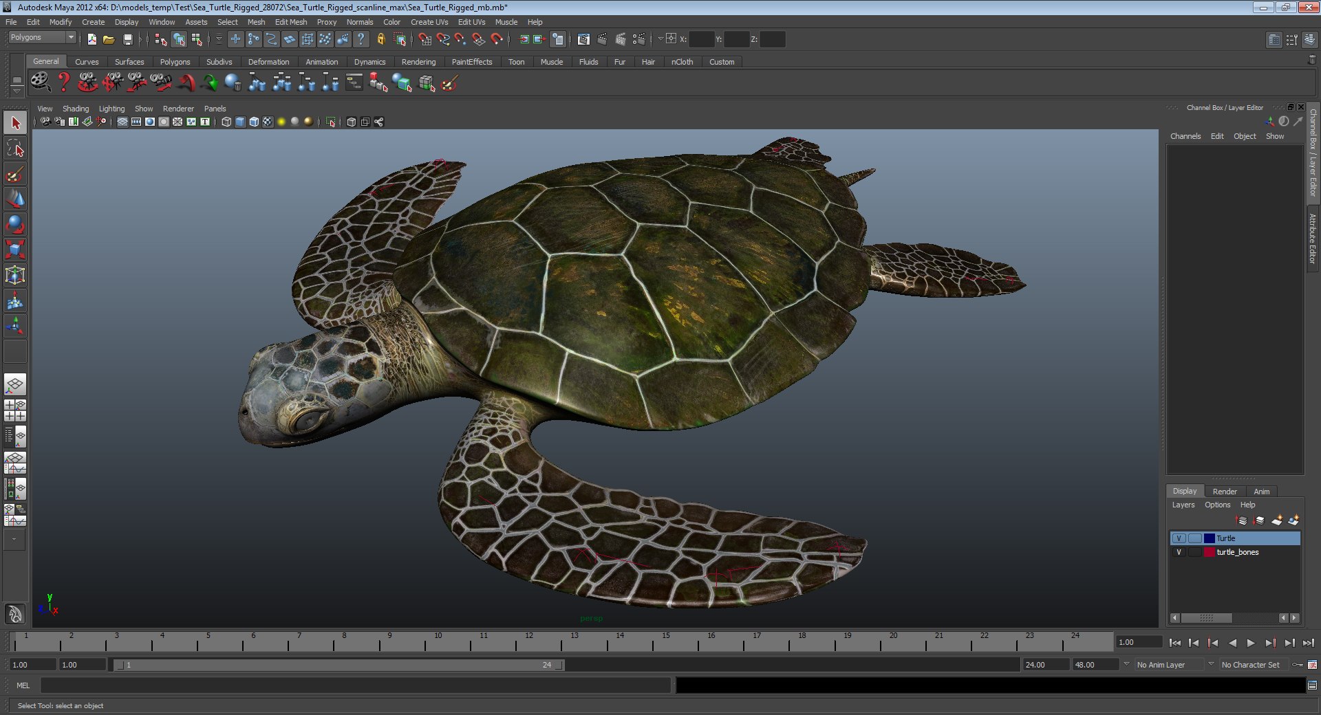 sea turtle rigged 3d model https://p.turbosquid.com/ts-thumb/Eo/ryBSZD/78EWWXVm/seaturtleriggedmaya3dmodel28/jpg/1478185892/1920x1080/fit_q87/c96827ce7684fdad44f3c8ba67ad203689cd9e3a/seaturtleriggedmaya3dmodel28.jpg