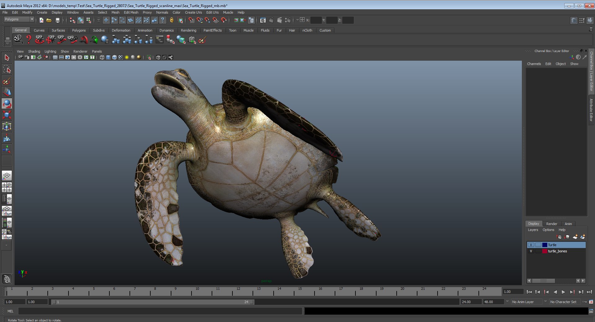 sea turtle rigged 3d model https://p.turbosquid.com/ts-thumb/Eo/ryBSZD/7XSYvV3e/seaturtleriggedmaya3dmodel30/jpg/1478185892/1920x1080/fit_q87/2753846bbb91ea032a9aa5d16cef0fdf40aeb5bc/seaturtleriggedmaya3dmodel30.jpg
