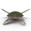 Sea Turtle Rigged per Maya