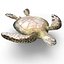 Sea Turtle Rigged per Maya