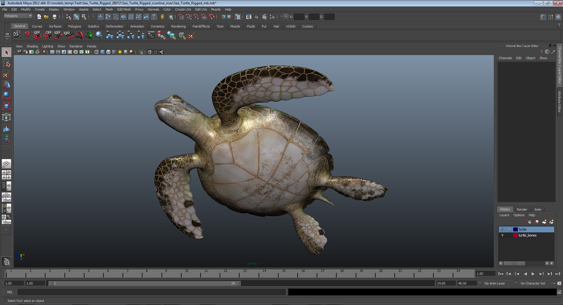 sea turtle rigged 3d model https://p.turbosquid.com/ts-thumb/Eo/ryBSZD/DIY5tqd4/seaturtleriggedmaya3dmodel29/jpg/1478185892/1920x1080/fit_q87/b4ba4c7506657b558e6f6902349c8f96823dc1a9/seaturtleriggedmaya3dmodel29.jpg