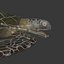 Sea Turtle Rigged per Maya