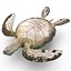 Sea Turtle Rigged per Maya