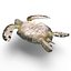 Sea Turtle Rigged per Maya