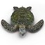 Sea Turtle Rigged per Maya