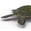 Sea Turtle Rigged per Maya