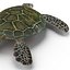 Sea Turtle Rigged per Maya