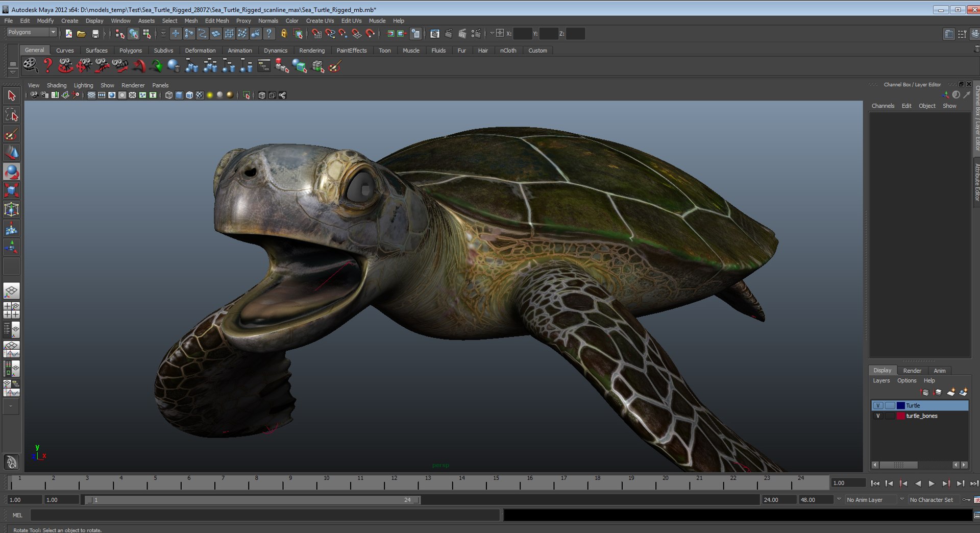 sea turtle rigged 3d model https://p.turbosquid.com/ts-thumb/Eo/ryBSZD/Vp9EaK9C/seaturtleriggedmaya3dmodel31/jpg/1478185892/1920x1080/fit_q87/8feefedb07cd53dd78fac0c5c731f1694e60e5d8/seaturtleriggedmaya3dmodel31.jpg