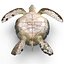 Sea Turtle Rigged per Maya