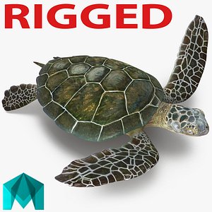 Sea Turtle Rigged for Maya