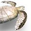 Sea Turtle Rigged per Maya