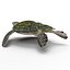 Sea Turtle Rigged per Maya