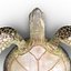 Sea Turtle Rigged per Maya