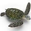Sea Turtle Rigged per Maya