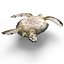 Sea Turtle Rigged per Maya