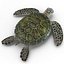 Sea Turtle Rigged per Maya