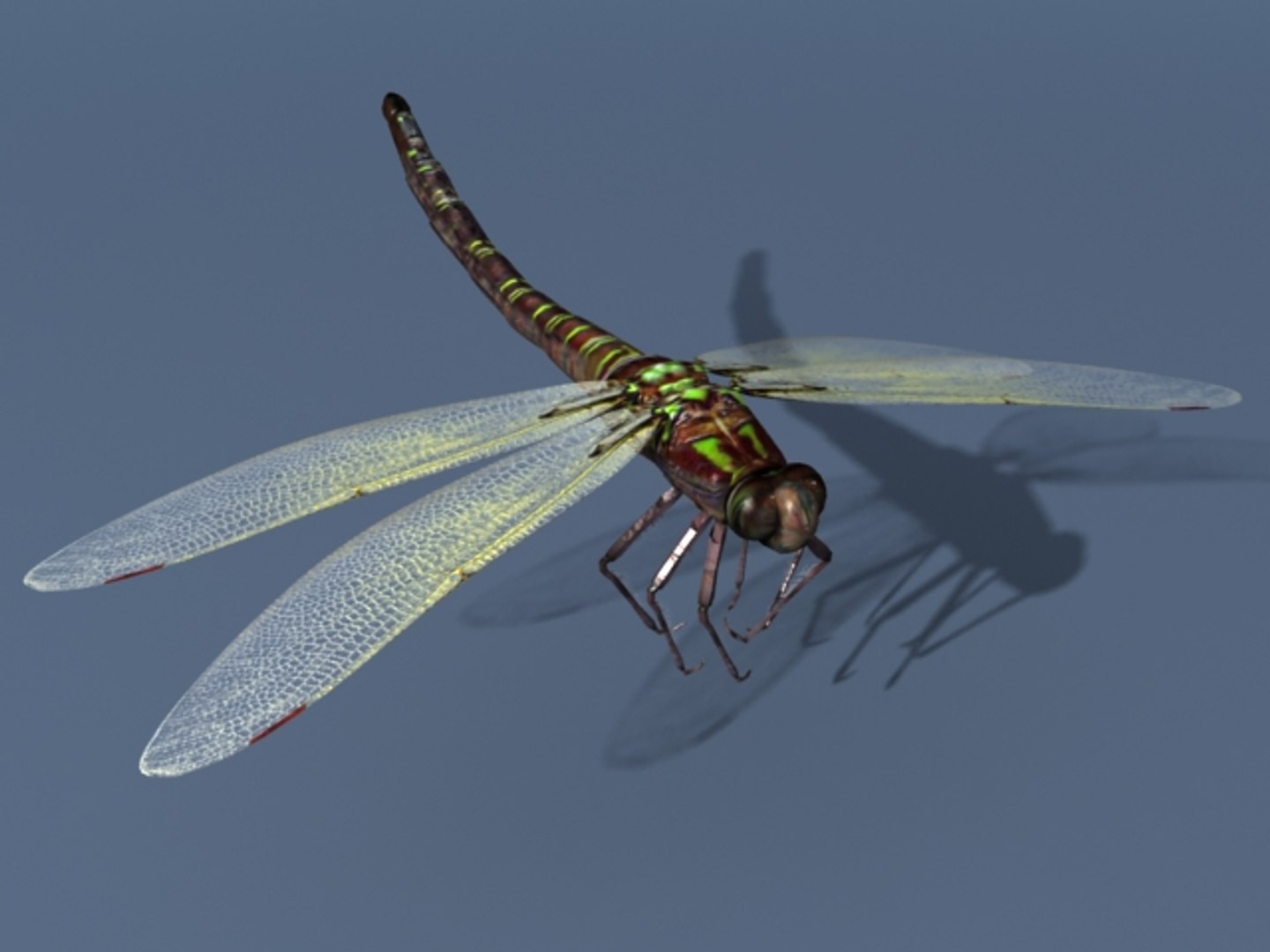 Rigged Dragonfly Max