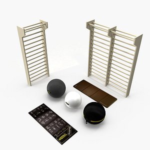 Fitness equipment, technogym tools, fitness ball