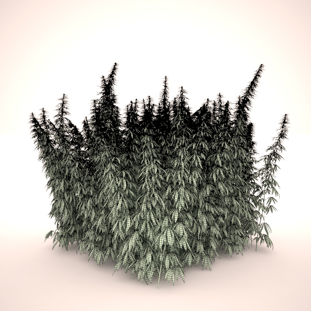 3d cannabis sativa field https://p.turbosquid.com/ts-thumb/Ep/7Hfw9J/IzKrU7tB/cannabis_sativa_field_tt2/jpg/1442312926/1920x1080/turn_fit_q99/b8d4edd1bb79c4be6fa59977e9137d1b70d58299/cannabis_sativa_field_tt2-1.jpg