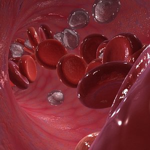 Blood cells
