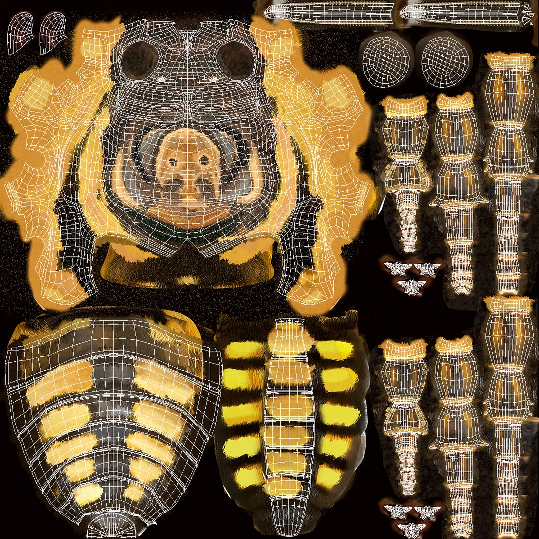 3d deaths head hawkmoth fur https://p.turbosquid.com/ts-thumb/Ep/HJzklQ/Z27E9hpp/deathsheadhawkmothwithfurvray3dmodel013/jpg/1488869811/1920x1080/fit_q87/48537a2b5d0e7e4896d06a4095413b1e8b5dcb05/deathsheadhawkmothwithfurvray3dmodel013.jpg