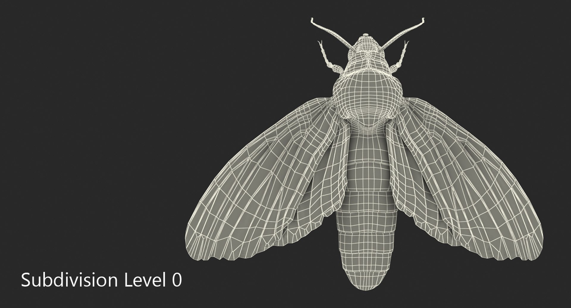 3d deaths head hawkmoth fur https://p.turbosquid.com/ts-thumb/Ep/HJzklQ/gTU5l725/deathsheadhawkmothwithfurvray3dmodel011/jpg/1488869811/1920x1080/fit_q87/07cc2bb8e2e2f357985f7847edd9276dcc3709c4/deathsheadhawkmothwithfurvray3dmodel011.jpg