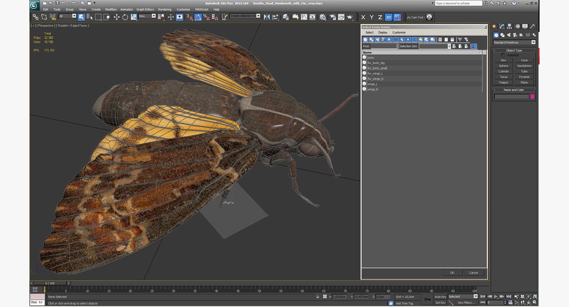 3d deaths head hawkmoth fur https://p.turbosquid.com/ts-thumb/Ep/HJzklQ/sO0TnrbX/deathsheadhawkmothwithfurvray3dmodel015/jpg/1488869811/1920x1080/fit_q87/54389c4f5df8de357e9ac555993dd3a9e730e86c/deathsheadhawkmothwithfurvray3dmodel015.jpg