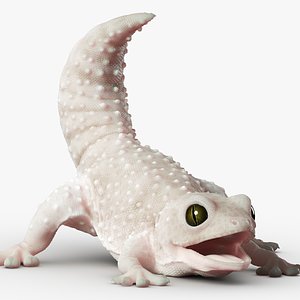Gecko Reptile 3DS Max