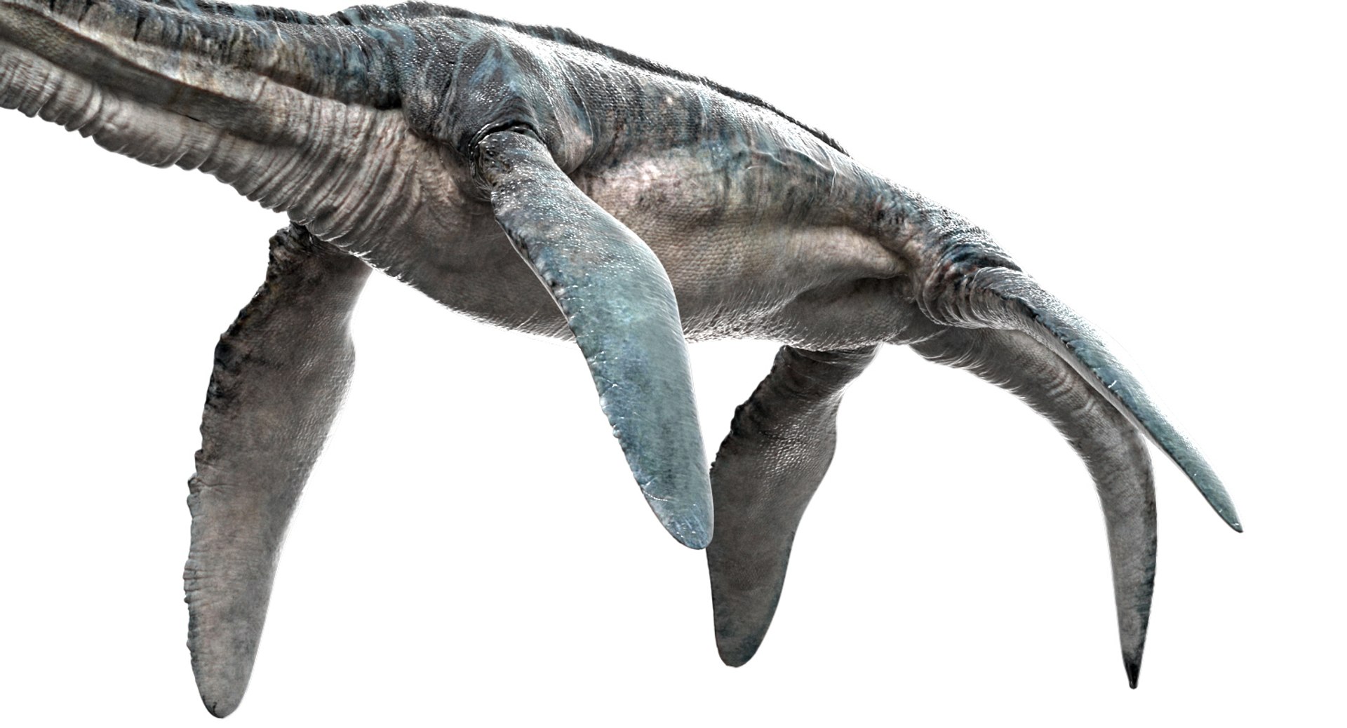 3D v-ray rigged https://p.turbosquid.com/ts-thumb/Ep/MWXX9q/3nDu3312/06/jpg/1560148214/1920x1080/fit_q87/7d89ec68d635179da89eeb2eea551911b0d6dee0/06.jpg