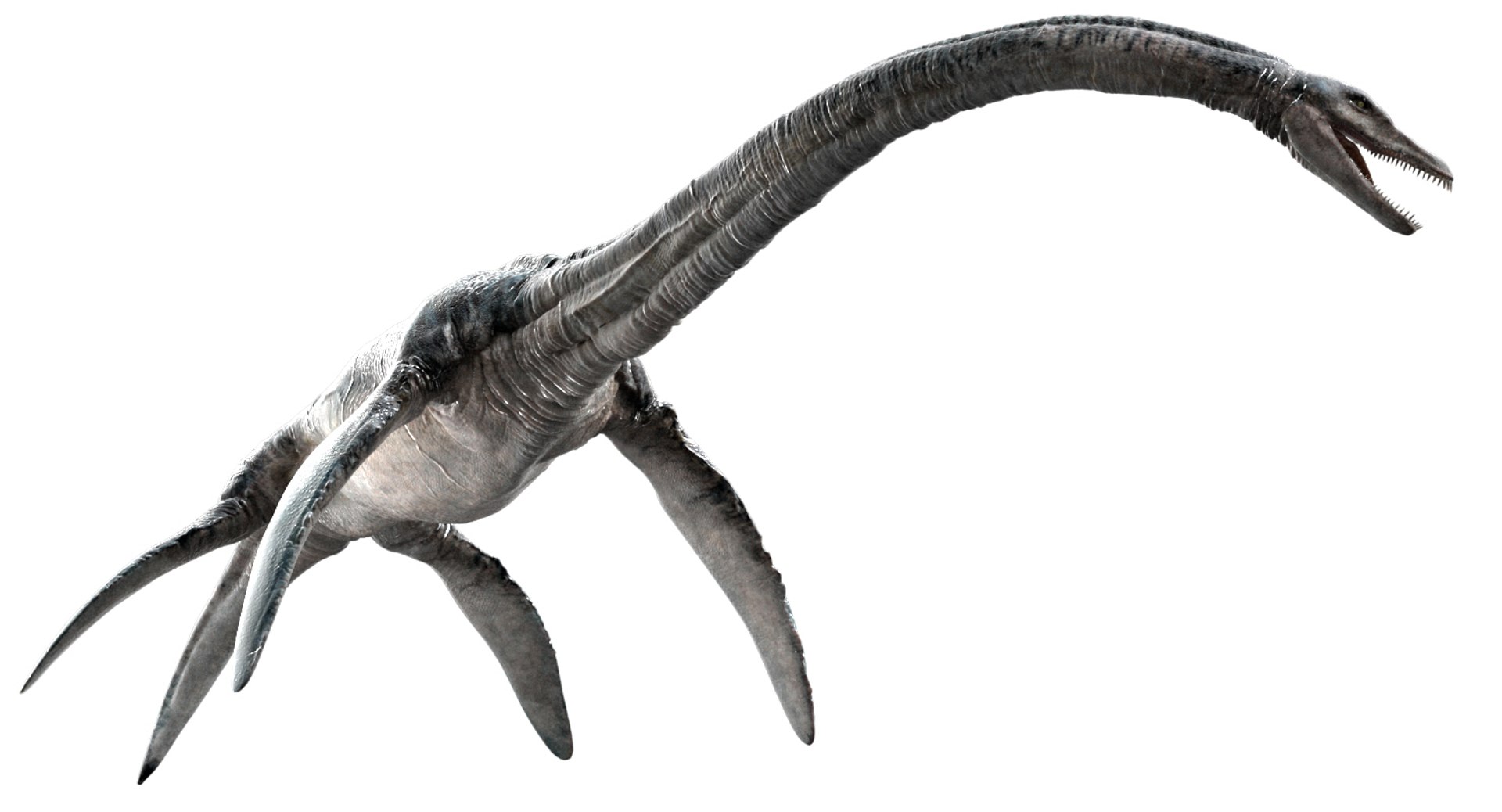 3D v-ray rigged https://p.turbosquid.com/ts-thumb/Ep/MWXX9q/IkVkZi4b/16/jpg/1560148215/1920x1080/fit_q87/e900139fac351625fbb7e6ddff1afedc9fb28c0e/16.jpg