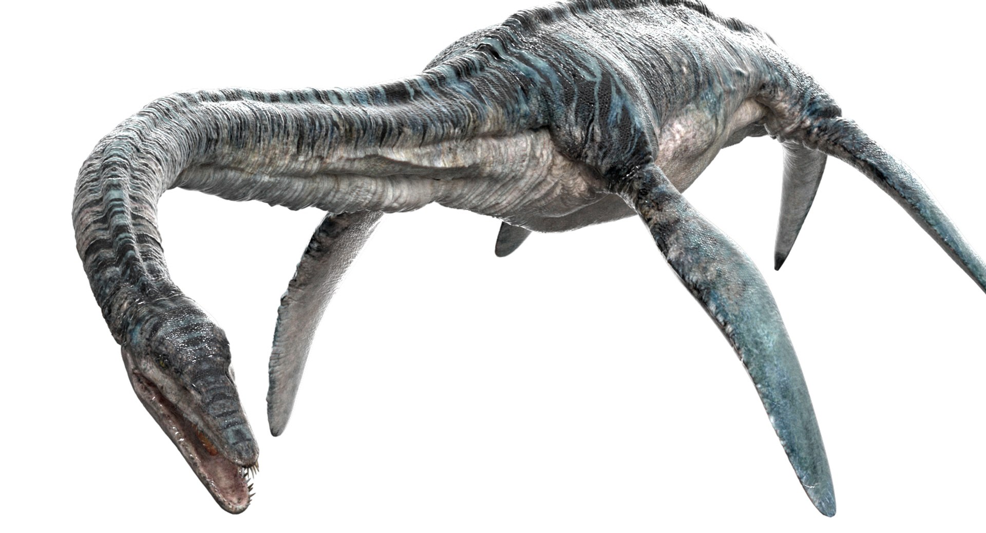 3D v-ray rigged https://p.turbosquid.com/ts-thumb/Ep/MWXX9q/RetMhno1/12/jpg/1560148215/1920x1080/fit_q87/e01df839acd99779184e78500c35bf390b038fb0/12.jpg