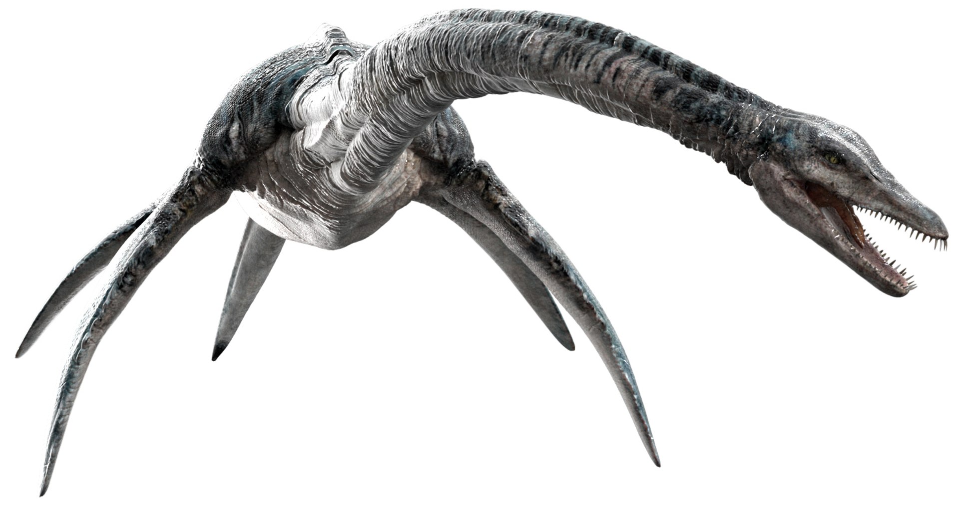 3D v-ray rigged https://p.turbosquid.com/ts-thumb/Ep/MWXX9q/X394Lxtp/15/jpg/1560148215/1920x1080/fit_q87/63c7679bd59674d7d694b9f183cda6c8149105fc/15.jpg