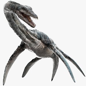 Elasmosaurus (Rigged)