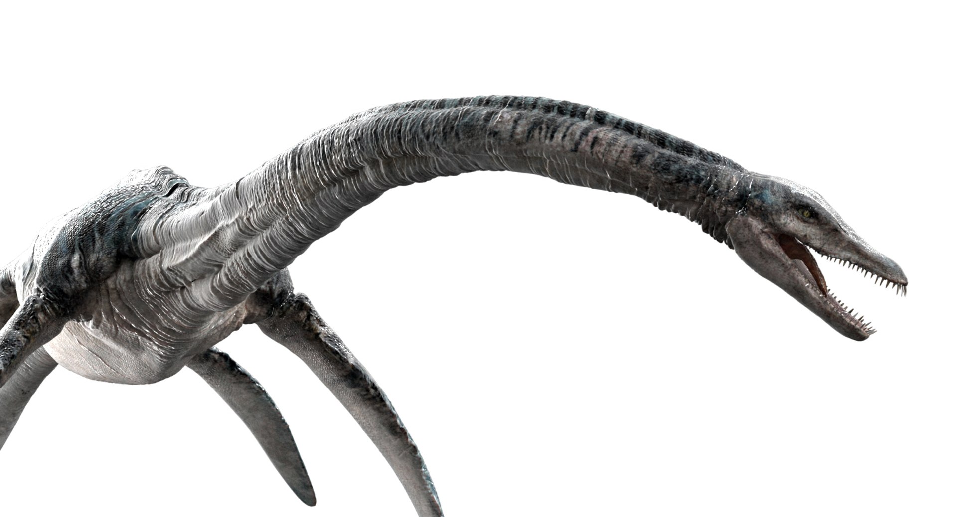 3D v-ray rigged https://p.turbosquid.com/ts-thumb/Ep/MWXX9q/dEon3ibl/09/jpg/1560148215/1920x1080/fit_q87/f87ab9e3cb3f8b9e5fc8e4b109a06aa126be2f26/09.jpg