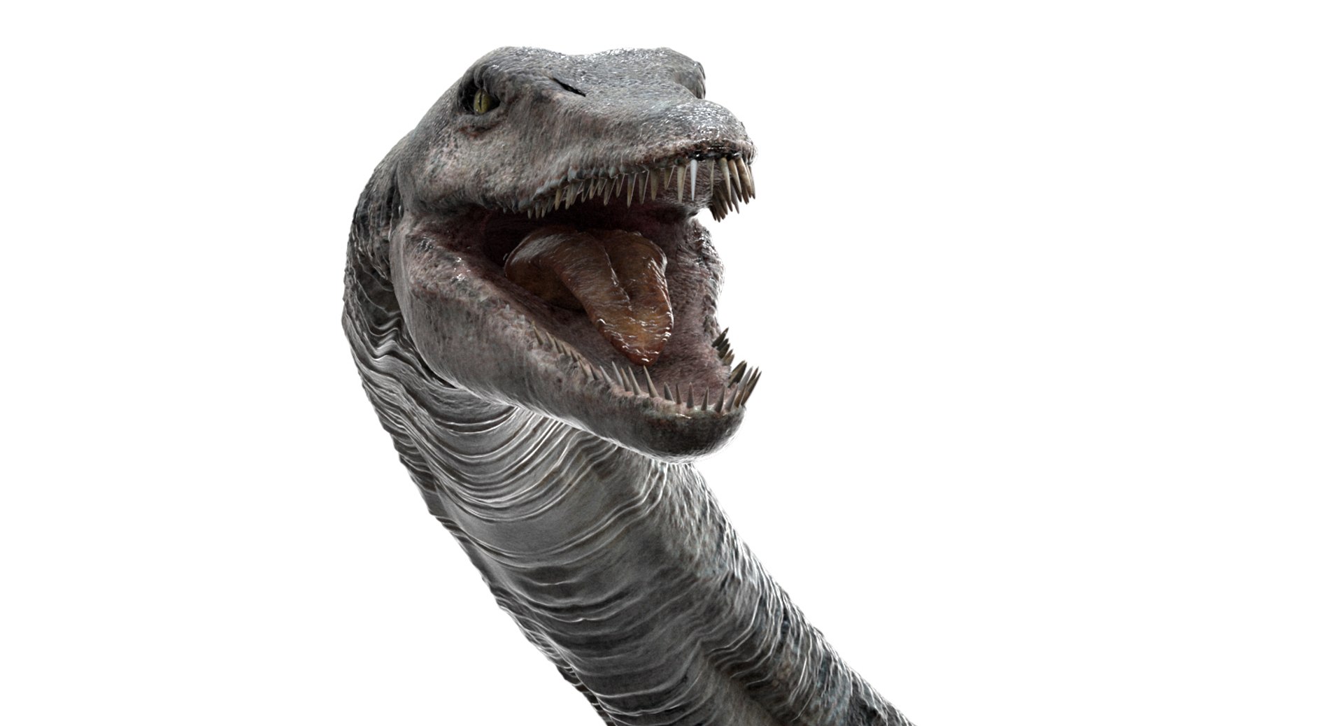 3D v-ray rigged https://p.turbosquid.com/ts-thumb/Ep/MWXX9q/fDdijb3K/10/jpg/1560148215/1920x1080/fit_q87/73d9f5397bd26c1004887e8c1f062b5bd061ba35/10.jpg