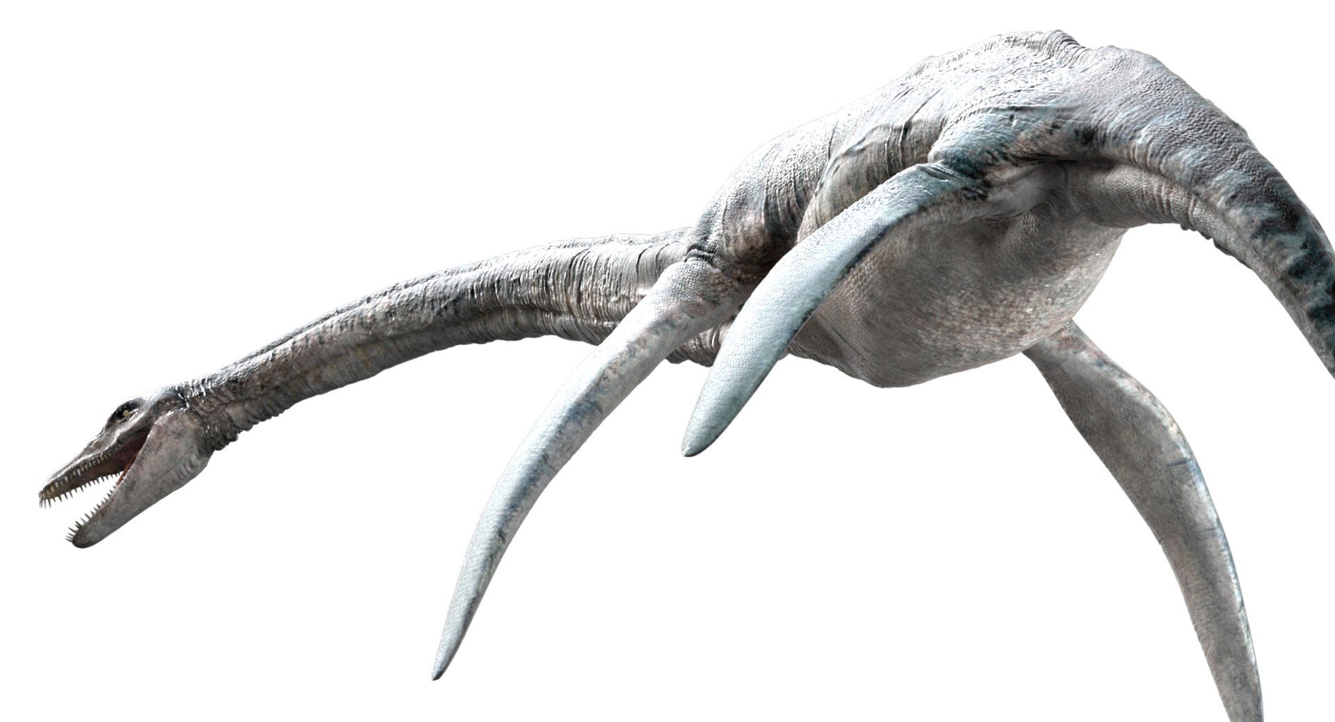 3D v-ray rigged https://p.turbosquid.com/ts-thumb/Ep/MWXX9q/jpWfPA4i/14/jpg/1560148215/1920x1080/fit_q87/37654b36ddeb50488c72934871294dec469c4aa9/14.jpg