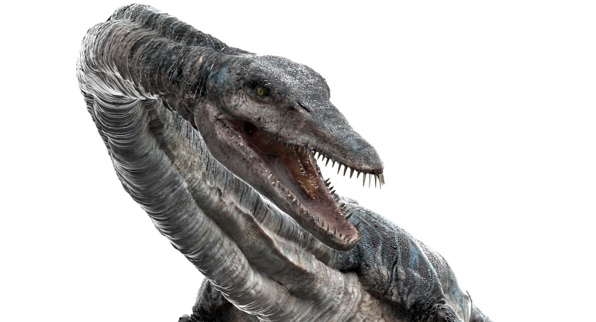 3D v-ray rigged https://p.turbosquid.com/ts-thumb/Ep/MWXX9q/kDXJwQUr/04/jpg/1560148214/1920x1080/fit_q87/d625687d070a002b9065e3a82759ae275b27a951/04.jpg