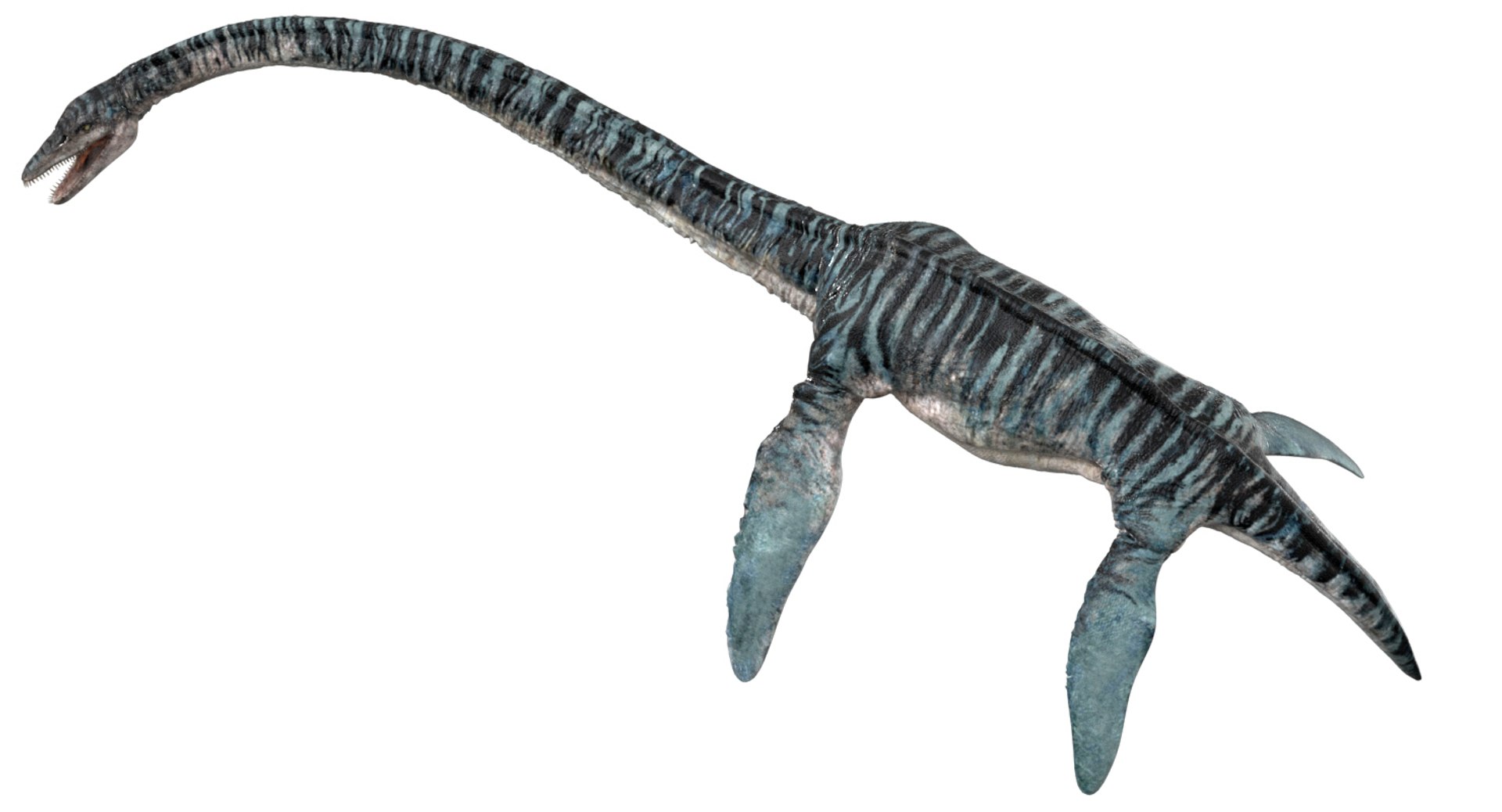 3D v-ray rigged https://p.turbosquid.com/ts-thumb/Ep/MWXX9q/mp5xSw6x/07/jpg/1560148214/1920x1080/fit_q87/ba2c4402bb7c7ef5bd4af6fce962d8b9bc28312f/07.jpg