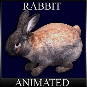Bunny der Hase